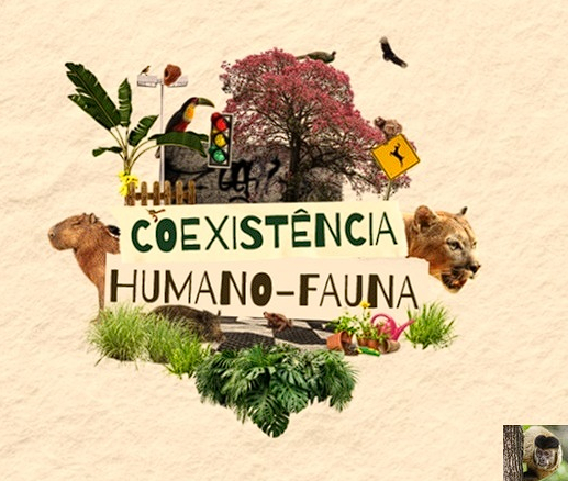 Prefeitura de Paraíso tem realizado ações voltadas à fauna silvestre.