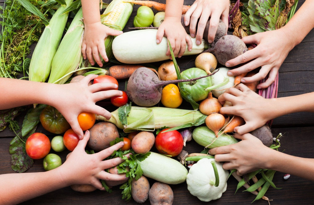 Prefeitura de Paraíso promove incentivo à produção agroecológica local.