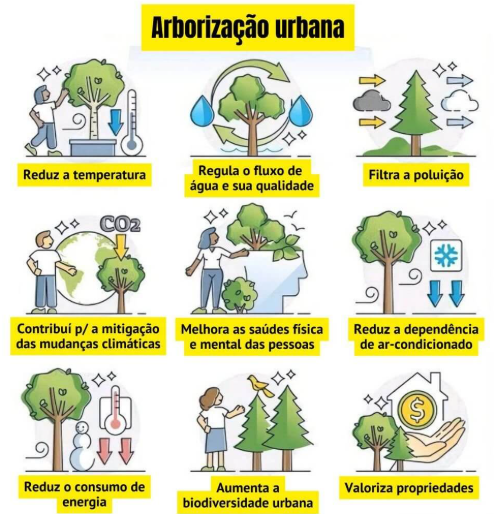 Prefeitura de Paraíso intensifica ações para o aumento da cobertura vegetal na área urbana.